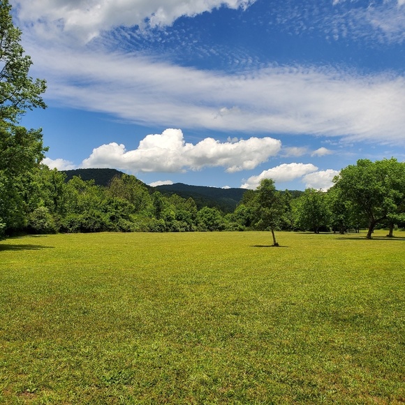 Meet your Posher, Ashlee - Picture 1 of 1